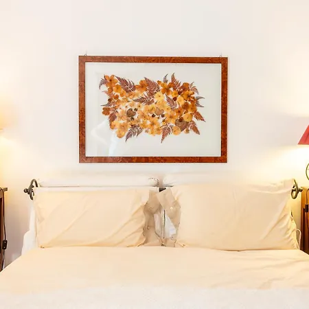 Appartement And Stylish